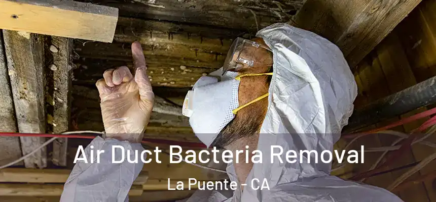  Air Duct Bacteria Removal La Puente - CA