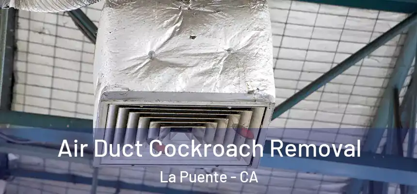  Air Duct Cockroach Removal La Puente - CA
