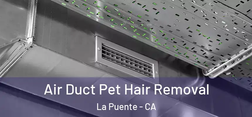  Air Duct Pet Hair Removal La Puente - CA