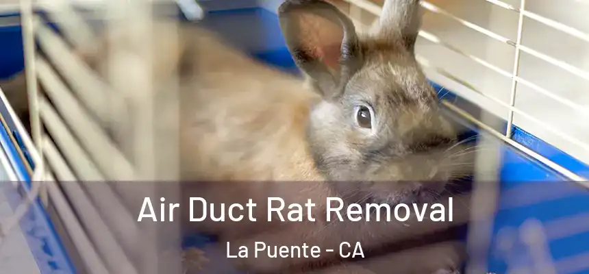  Air Duct Rat Removal La Puente - CA