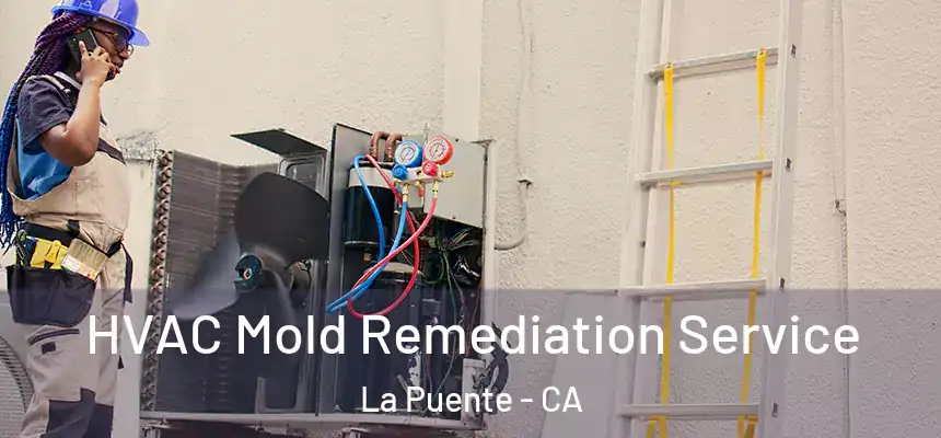  HVAC Mold Remediation Service La Puente - CA