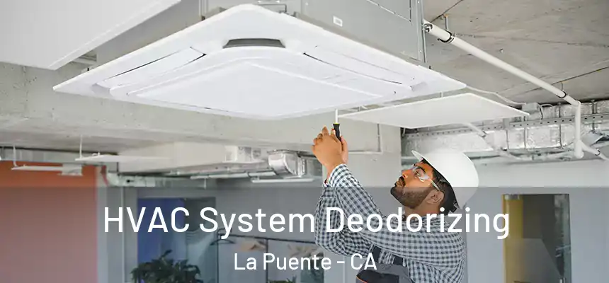 HVAC System Deodorizing La Puente - CA
