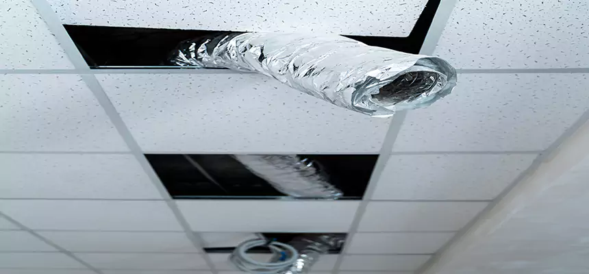 Our Air Duct Pet Hair Removal Services in La Puente, CA