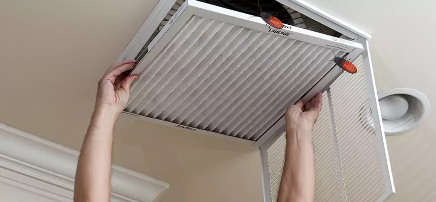 Our Insect Removal from Air Ducts Services in La Puente, CA