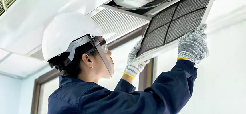 Our Mold & Mildew Removal from Air Ducts Services in La Puente, CA