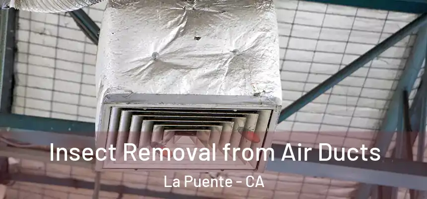 Insect Removal from Air Ducts La Puente - CA