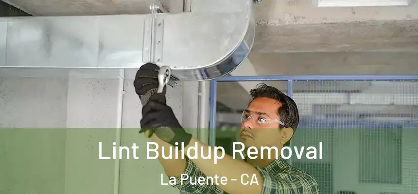 Lint Buildup Removal La Puente - CA
