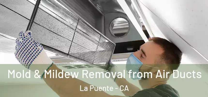 Mold & Mildew Removal from Air Ducts La Puente - CA