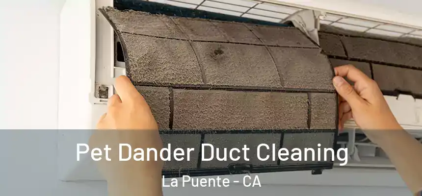 Pet Dander Duct Cleaning La Puente - CA