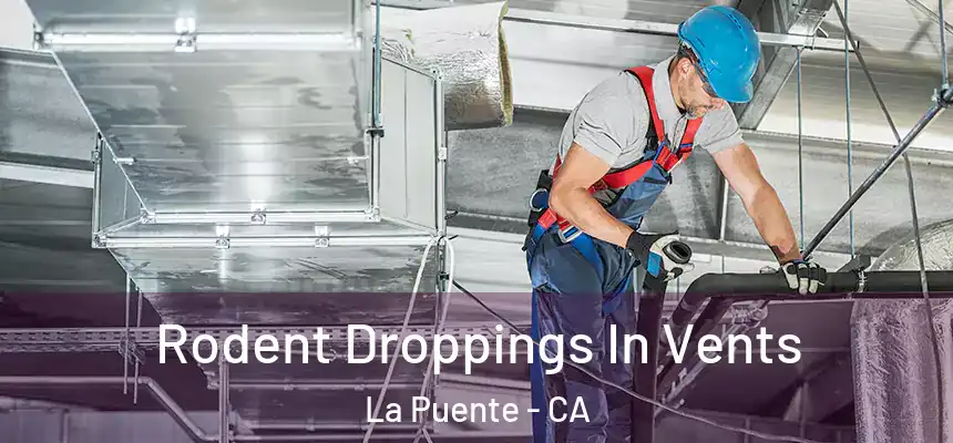Rodent Droppings In Vents La Puente - CA