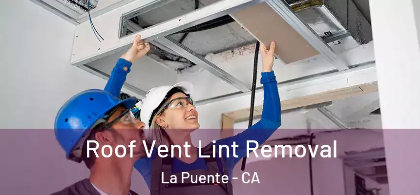 Roof Vent Lint Removal La Puente - CA