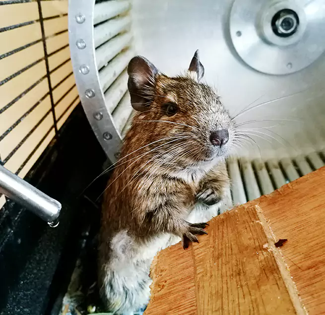 Why Homeowners & Businesses Trust Us La Puente, CA?