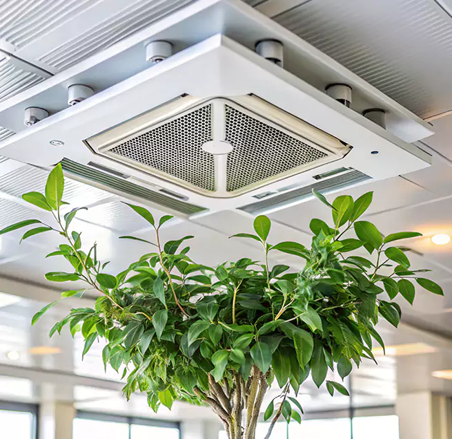 Why Homeowners & Businesses Trust Us in La Puente, CA