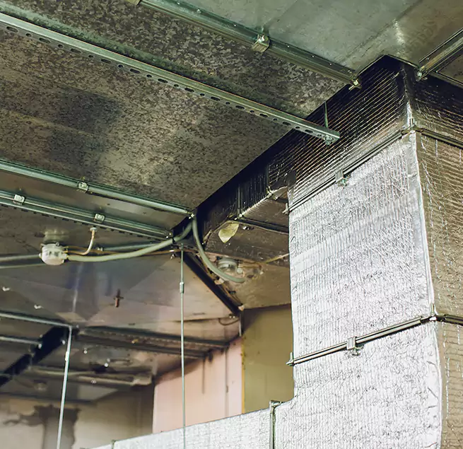 Why Homeowners & Businesses Trust Us in La Puente, CA?